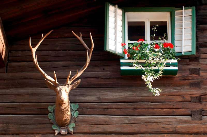 Hotel Gasthof Markterwirt Altenmarkt im Pongau Esterno foto